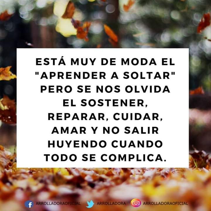 LRossini7's tweet image. 