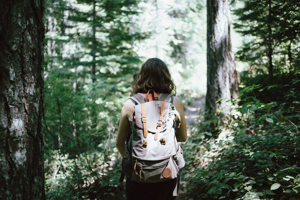 SFACampusRec's tweet photo. School or work have you stressed? RELAX!! Go for a walk, do some deep breathing, get some exercise or even a massage! #StressAwarenessDay https://t.co/b7ydY80WHY