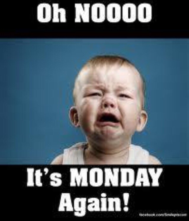 burchy72's tweet photo. For the 1st time since March this is me tonight 😂 #1stdayatschool #newbie #newkidontheblock #backintherealworld https://t.co/OWc3zwHsUV