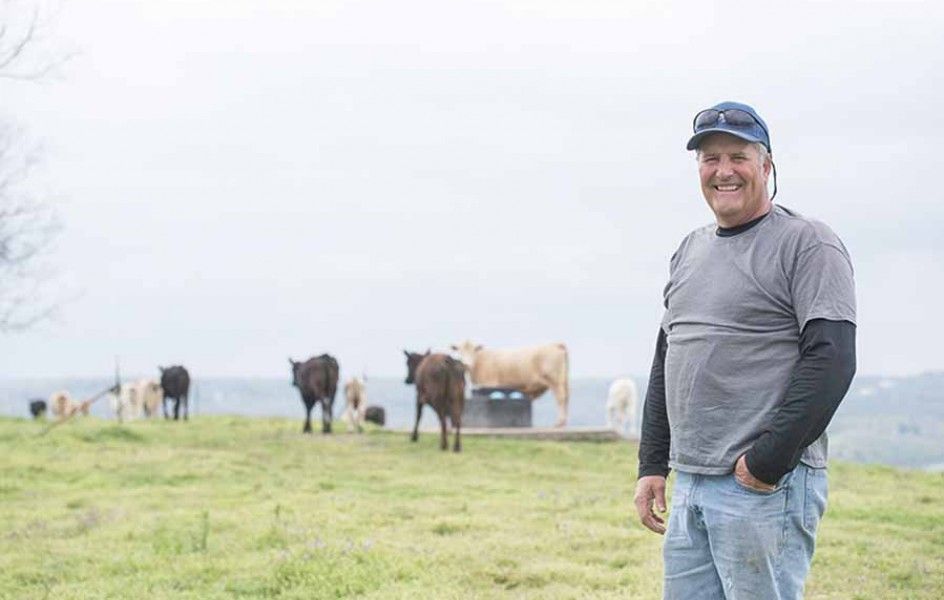 MiracoWaterers's tweet photo. Steve Stone relies on Miraco automatic ball waterers in his rotational #grazing system. https://t.co/SidYhanG4q #pasture #cattle #beefmeet #AngusCon18 https://t.co/1KaJmAyfrV