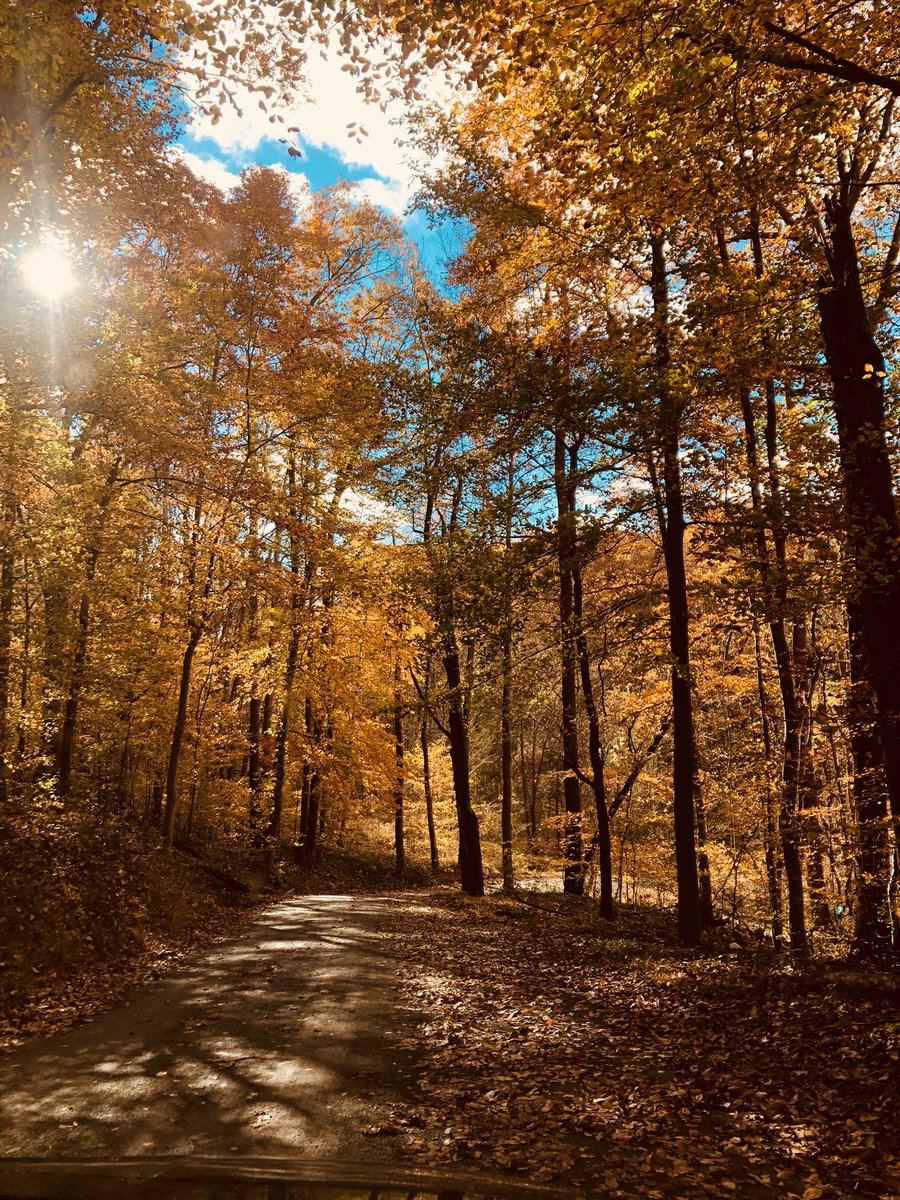 Sometimes the beauty in the world is so brilliant it hurts. #countryroads #fall2018 #naturescolors #lovewhereyoulive #howlonguntilspring