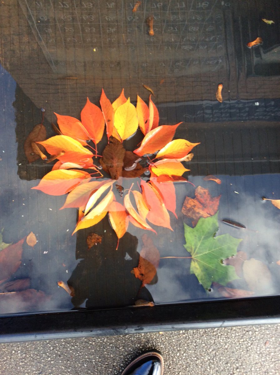 halewoodcofe's tweet image. A beautiful floating flower created with our reception children and fabulous coloured leaves last week. #autumnart #exploringmedia @LDSTEducation