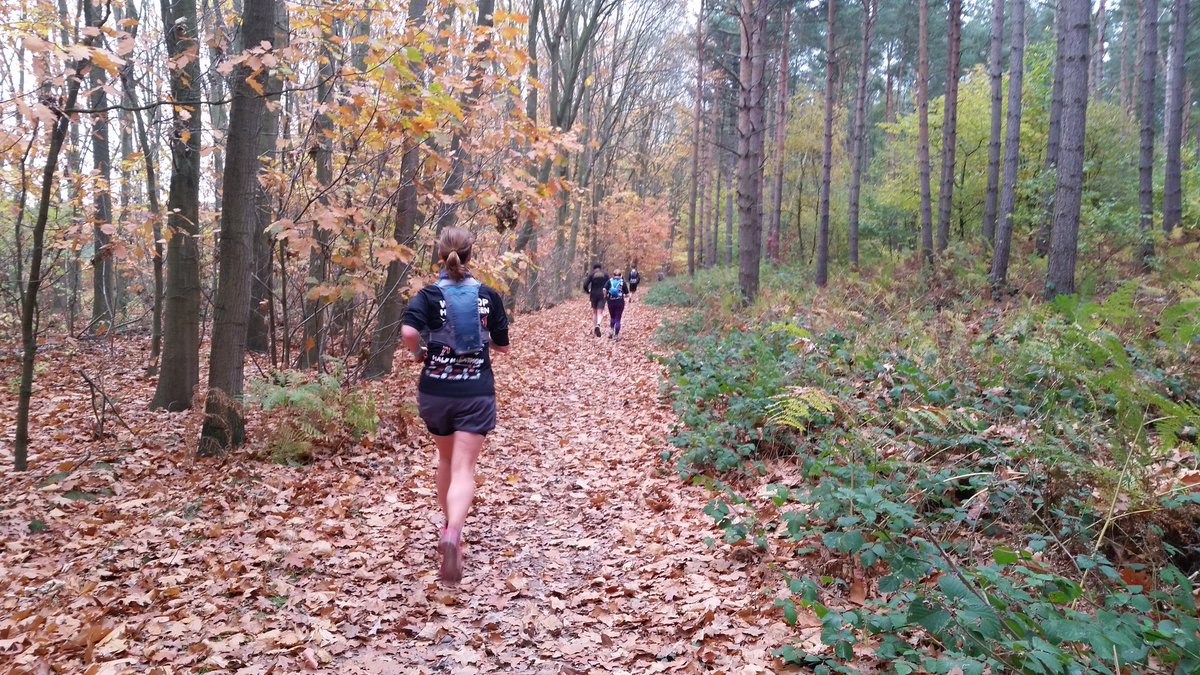 WorksopHM's tweet image. As we are so busy on race day &amp;amp; can't take part in the WHM @worksopharriers and some of our wonderful volunteers ran the 'Not the Worksop Half Marathon' today. A slightly different route avoided the busy roads, but we still enjoyed the lovely autumn colours in @NTClumberPark  😃