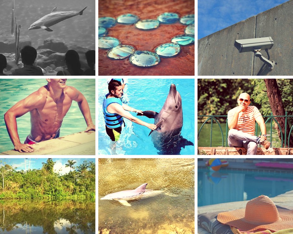 jayleeVT's tweet photo. Romance blooms between two dolphin trainers as they plan a heist to release the animals from captivity... But one is a dolphin shifter of Brazilian myth... and the other is about to find out.

Read "Shallows" in LOVE &amp; BUBBLES, a book of queer romance -- https://t.co/6z67oKthBn https://t.co/GQhhlhhoO5