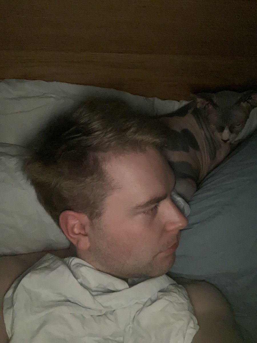 thirdgemini's tweet image. And now bedtime. #100DaysOfCode #Python #codeacademy #sphynx #sphynxcat #kitten #sphynxkitten