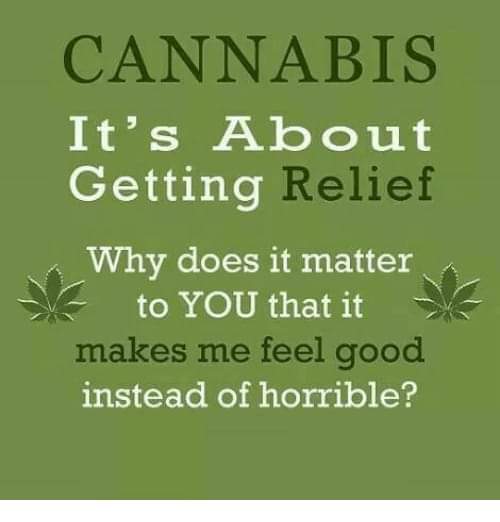 UP4CNC's tweet photo. #Utah #ballottinitiative for #medical #cannabis #UP4CNC #UPCNC #marijuana #prop2 #vote #MedicalCannabis #MedicalMarijuana #voteforprop2 https://t.co/NanLnPYe3l