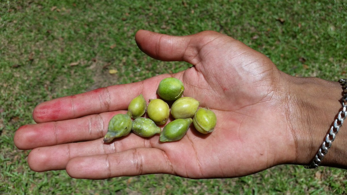 CRC for Developing Northern Australia tweet media