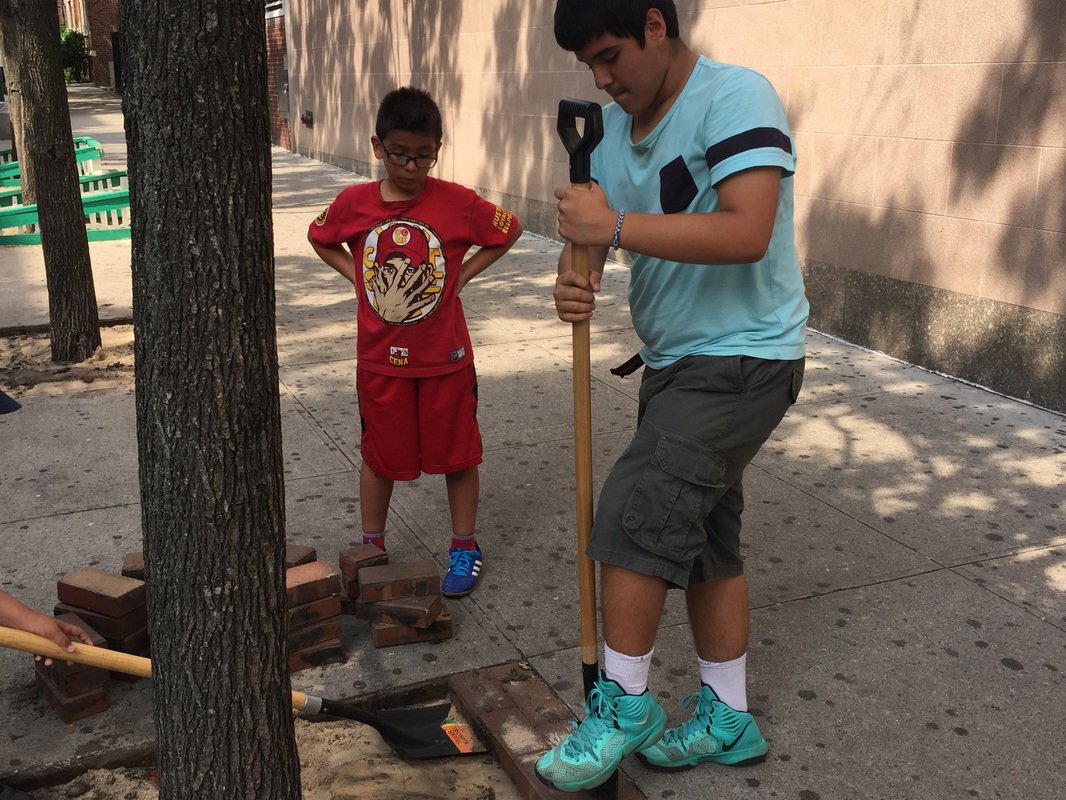 BeyondOrganicD's tweet photo. BOD helps NYC kids redefine nature: design, planting flowers in tree pits, urban agriculture, and a lot more. Urban environmentalism is no fad. #BeyondOrganicDesign #sustainability #permaculture https://t.co/PeNrO6D0A9