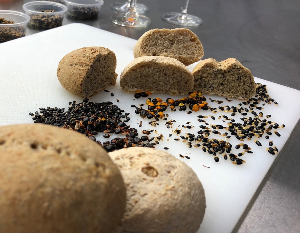 SmythDr's tweet photo. Who knew there were so many types of #wattleseed? They all taste and smell completely different when roasted. #Delicious! ⁦@QAAFI⁩ https://t.co/6VEzk0jnu9