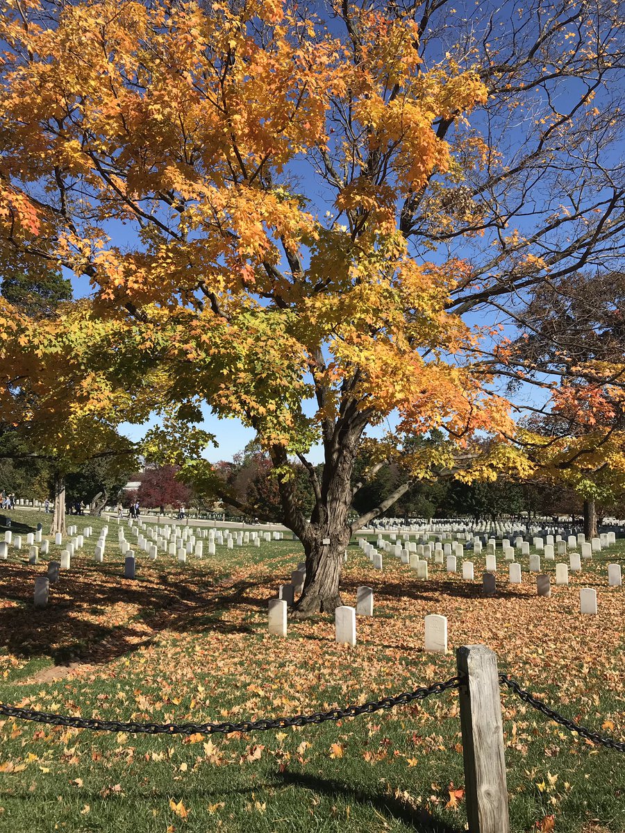 helenbaptist's tweet image. Visited @ArlingtonNatl today and saw the change of watch at the Tomb of The Unknown.  #profound #movingexperience #freedomisntfree #coastguard #VeteransDay #veteranfamily