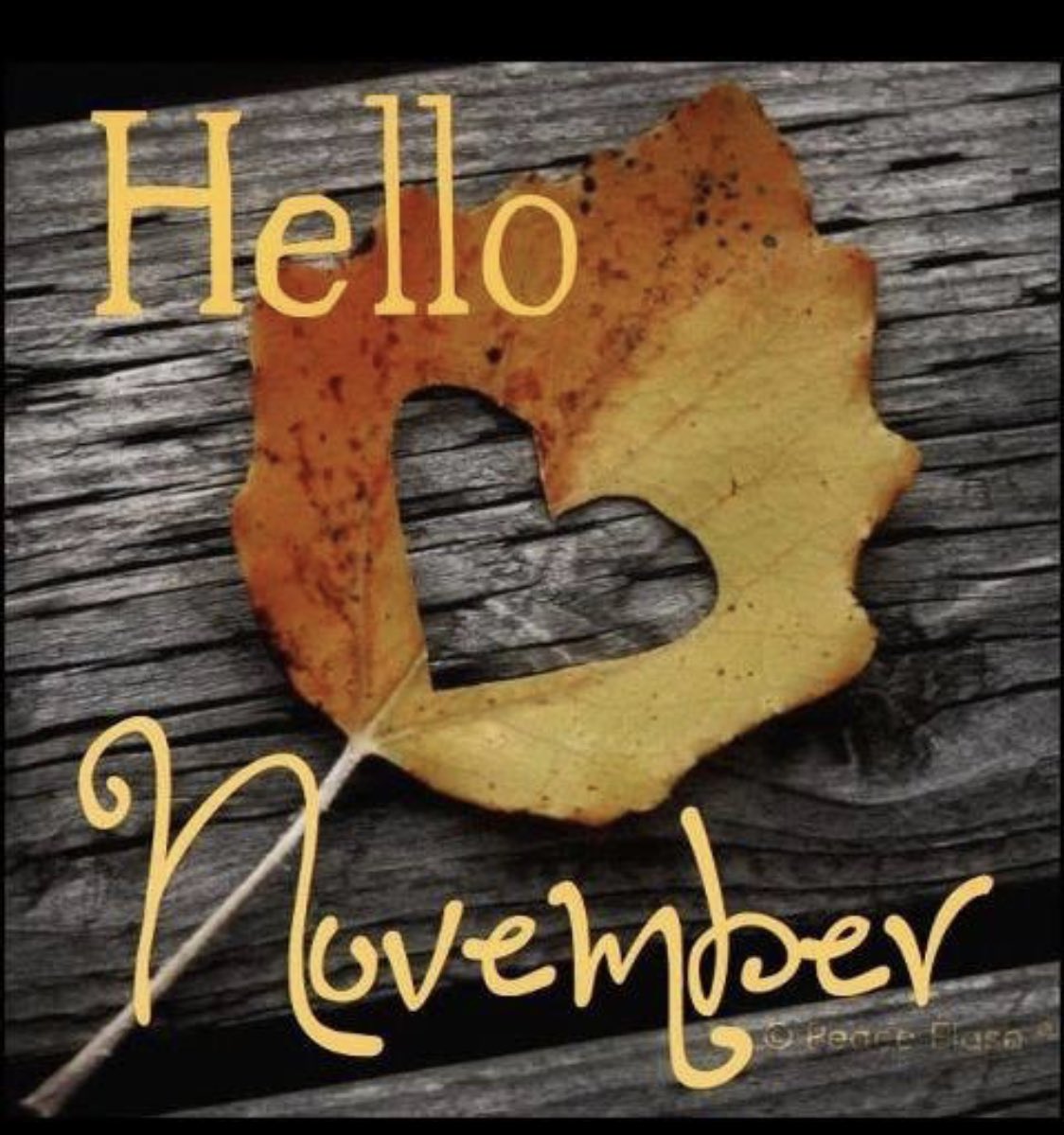 Northwest Indiana SHRM (@nwishrm) on Twitter photo 