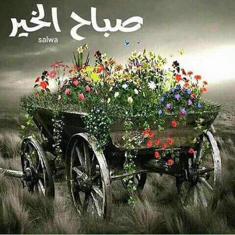 mohageer111 tweet picture