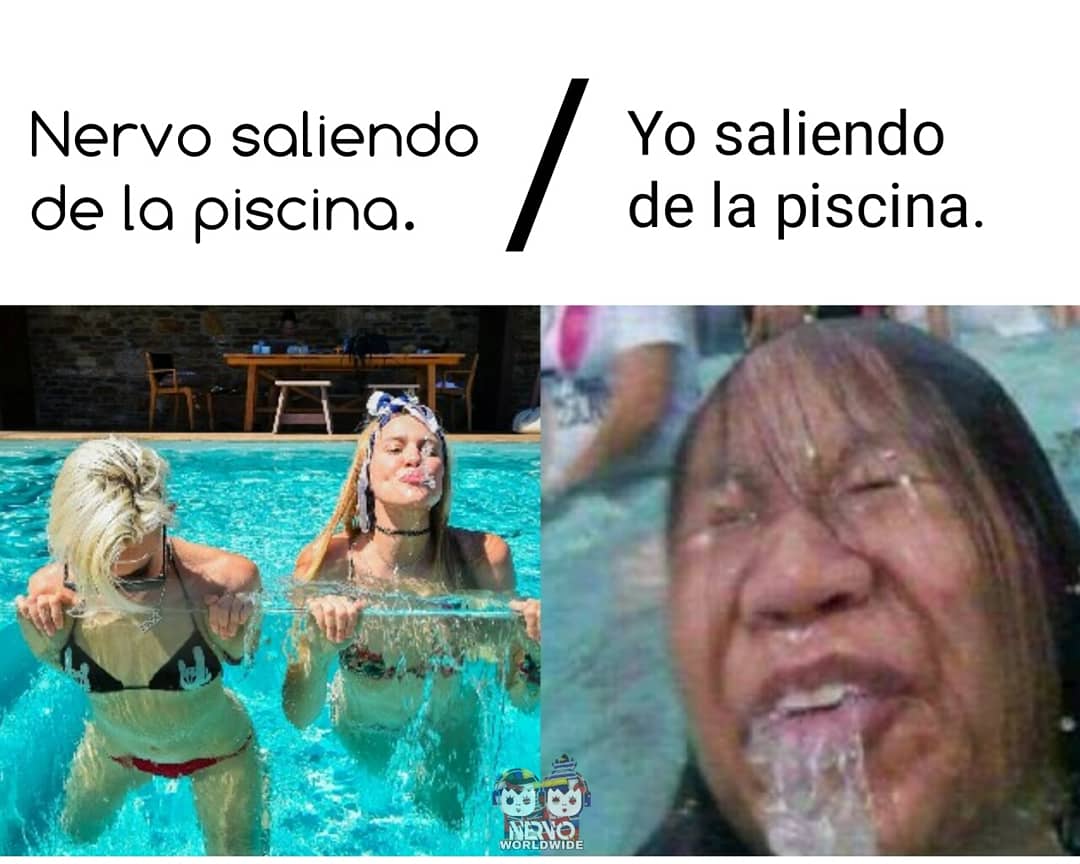 😂] our twins are so perfect haha 😍😍 Have a nice day 😘 #NERVOMemes  #MondayMotivation #Funday #NERVOnation #Meme, image size:1080x864