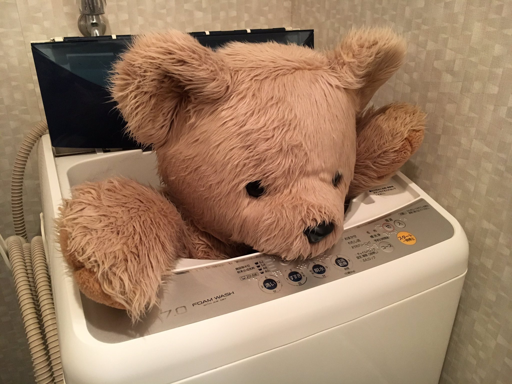 Uzivatel ティーちゃん Na Twitteru 今日は体を洗うねん お風呂は厳しいから洗濯機やねん ᵔᴥᵔ これがグルグルされるから目が回ってもう大変やねん ベランダで太陽光浴びて自然乾燥 スッキリしたから疲れてん おやすみなさい くま クマ Uzivatel ティーちゃん Na Twitteru 今日は体を洗うねん お風呂は厳しいから洗濯機やねん ᵔᴥᵔ これがグルグルされるから目が回ってもう大変やねん ベランダで太陽光浴びて自然乾燥 スッキリしたから疲れてん おやすみなさい くま クマ
