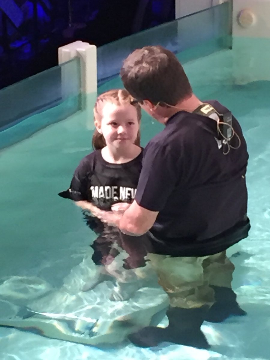 Millie Cline tweet media