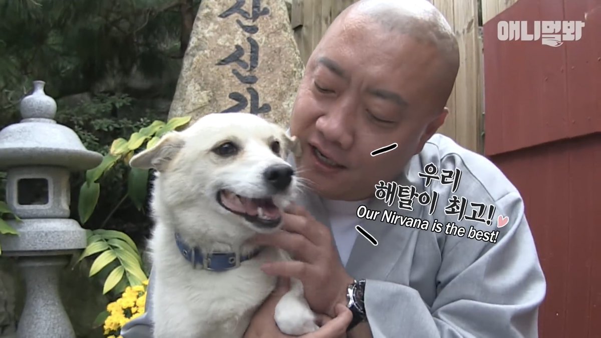 아 쒸ㅋㅋㅋㅋ 어떤 스님이 키우는 개 이름 해탈이여서 영어자막으로 Nirvana라고 쓰는거 왤케 웃김ㅋㅋㅋㅋ