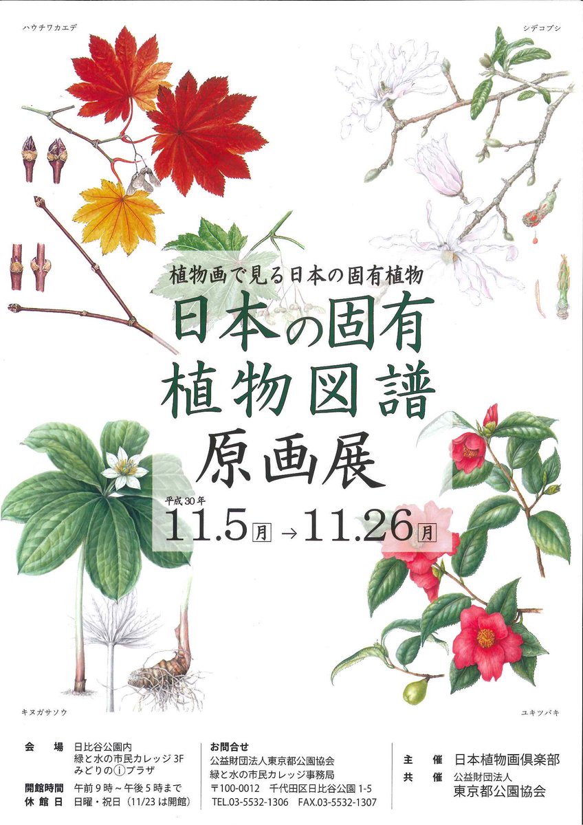 緑と水の市民カレッジ 本日より3階みどりの プラザにて 日本の固有植物図譜 原画展 を開催しております 日本の固有植物 とは 世界で唯一日本国土にだけ存在する植物を意味します 日本の野生植物約7500種のうち約2700種が固有植物です 美しい植物画の 緑と水の市民カレッジ 本日より3階みどりの プラザにて 日本の固有植物図譜 原画展 を開催しております 日本の固有植物 とは 世界で唯一日本国土にだけ存在する植物を意味します 日本の野生植物約7500種のうち約2700種が固有植物です 美しい植物画の