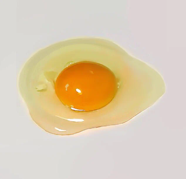 どっちが本物なのかわからないｗｗｗ絵じゃなくて写真じゃない？？…いややっぱ本物？？