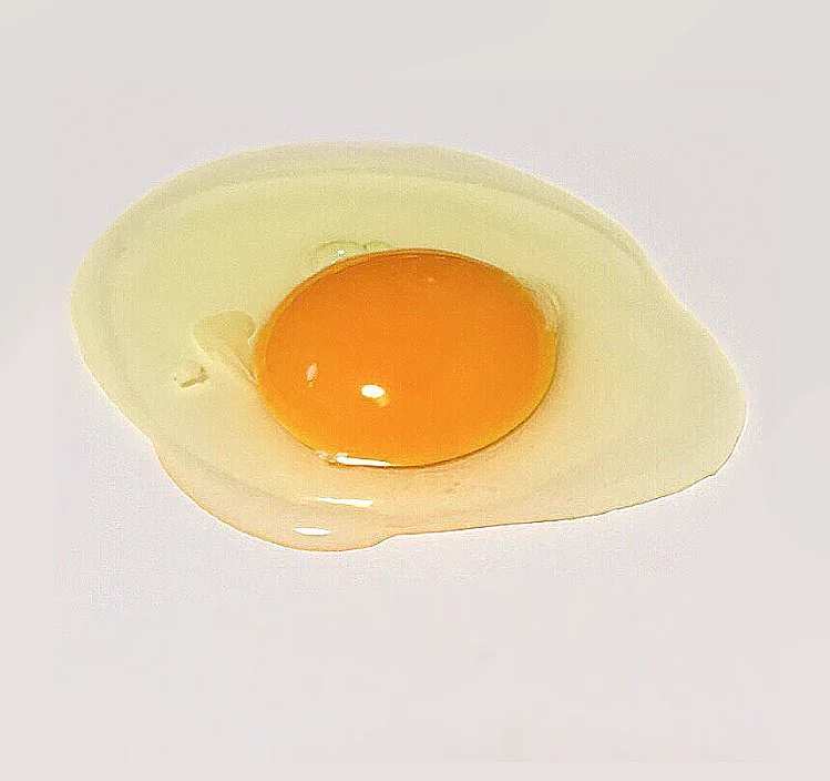 どっちが本物なのかわからないｗｗｗ絵じゃなくて写真じゃない？？…いややっぱ本物？？