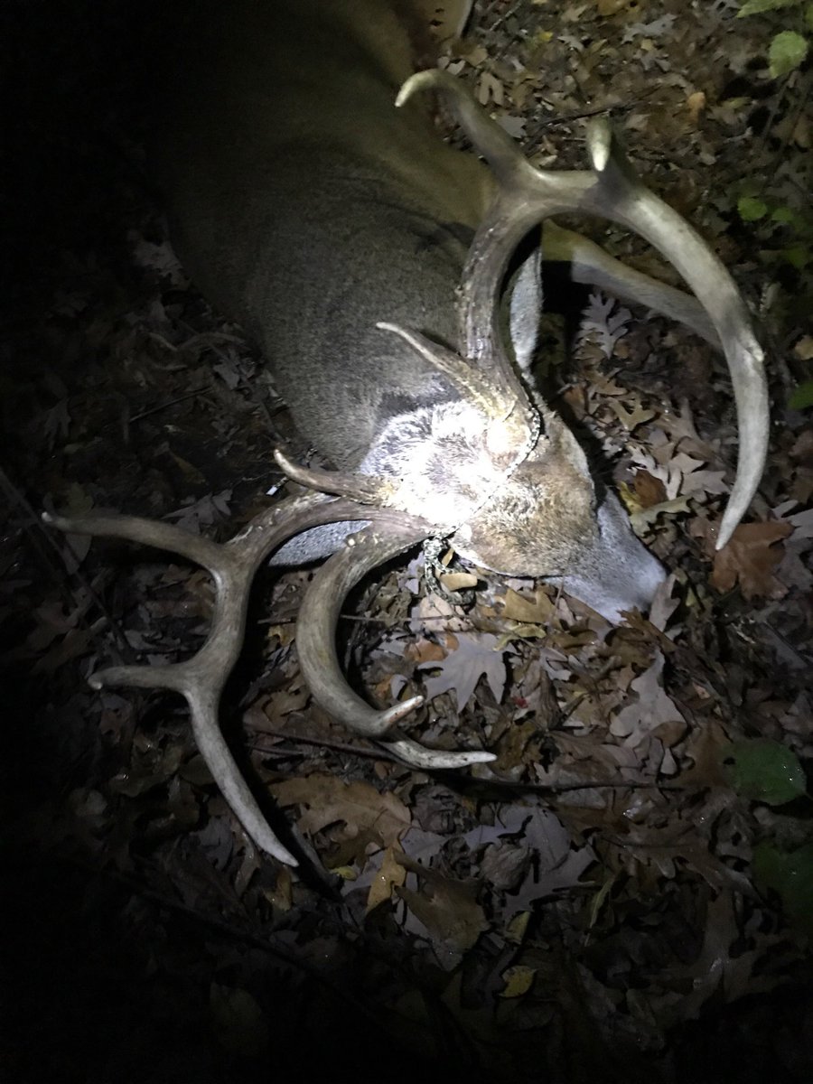 RutTracker's tweet image. 😳