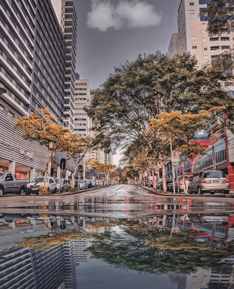 Prefs de Curitiba on Twitter: Prefs de Curitiba on Twitter: