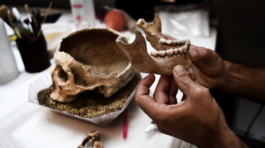 bone_reports's tweet image. DNA Researchers Call on Bone Hoarders to Share Bone Access
Submission#Journal of Bone Research and Reports 
bone.imedpub.com