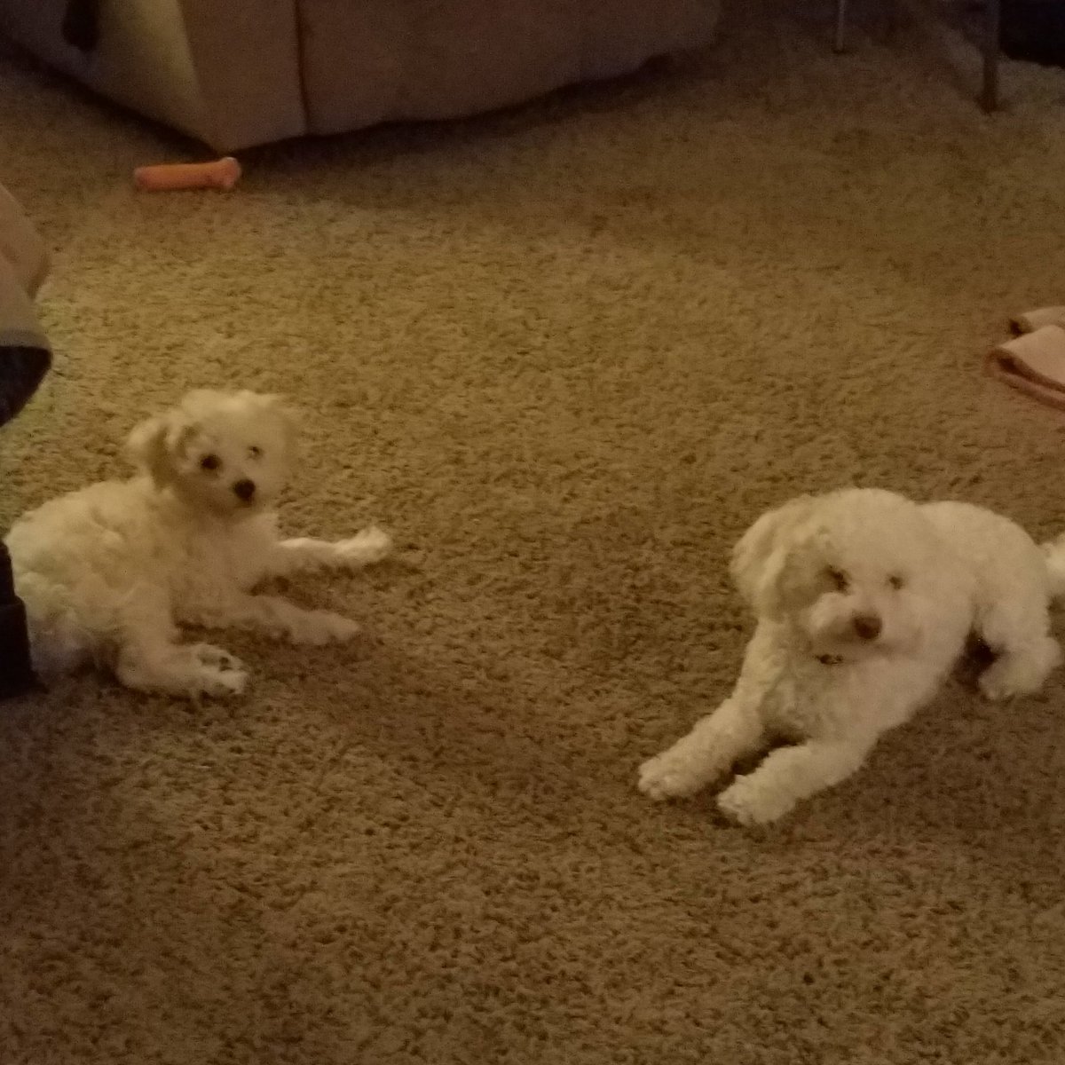 Finally my boys sitting still. At least for one second.