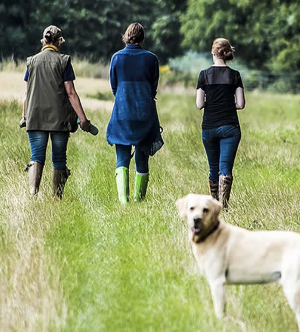 Dunsdonfarm's tweet photo. As a guest at Dunsdon Farm, you have access to our 23 acre woodland plantation; this is accessed via gates just 200 yards from the property https://t.co/v5IYcEMuUY https://t.co/WVYmAmm1P6