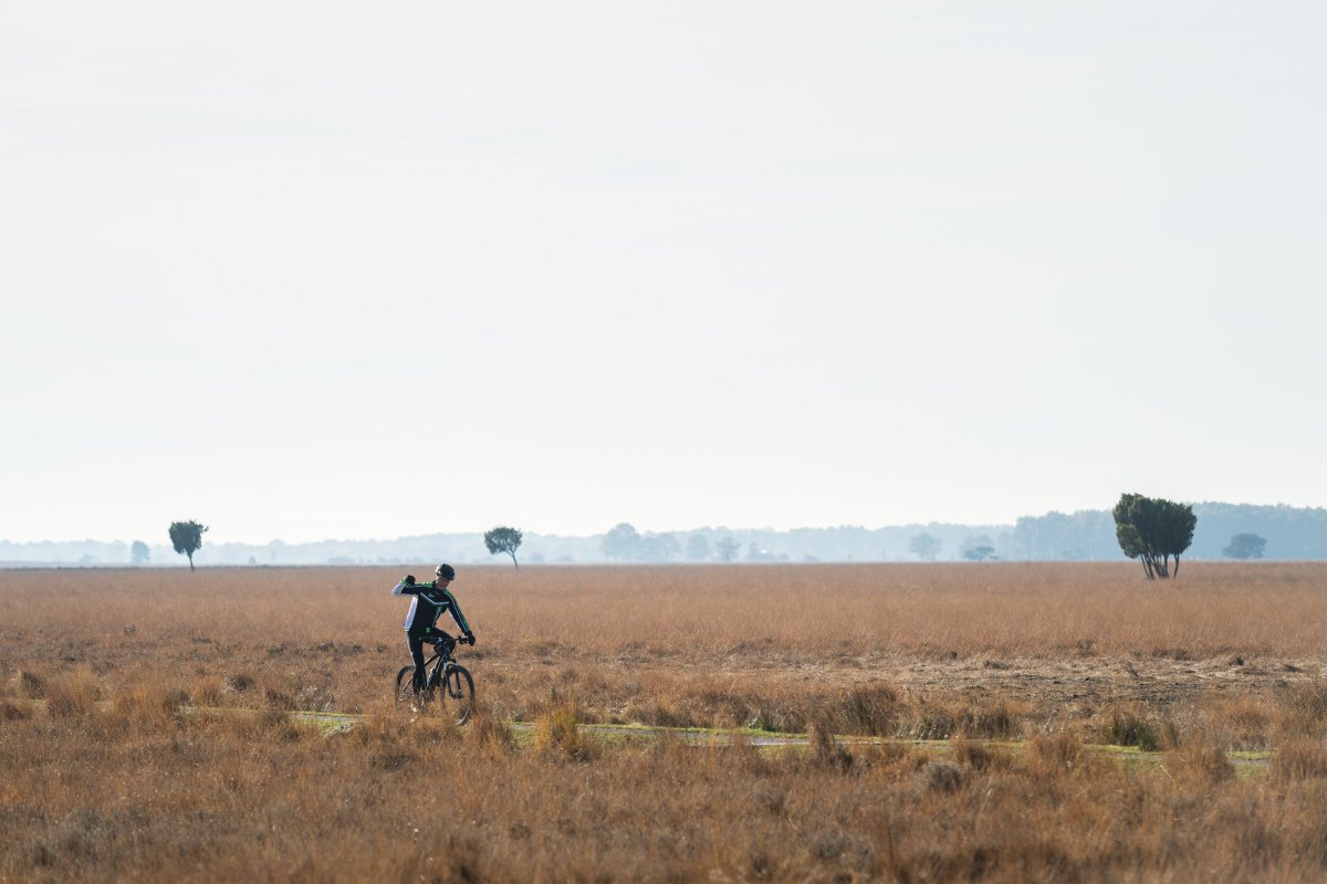MTB_vanderValk tweet picture
