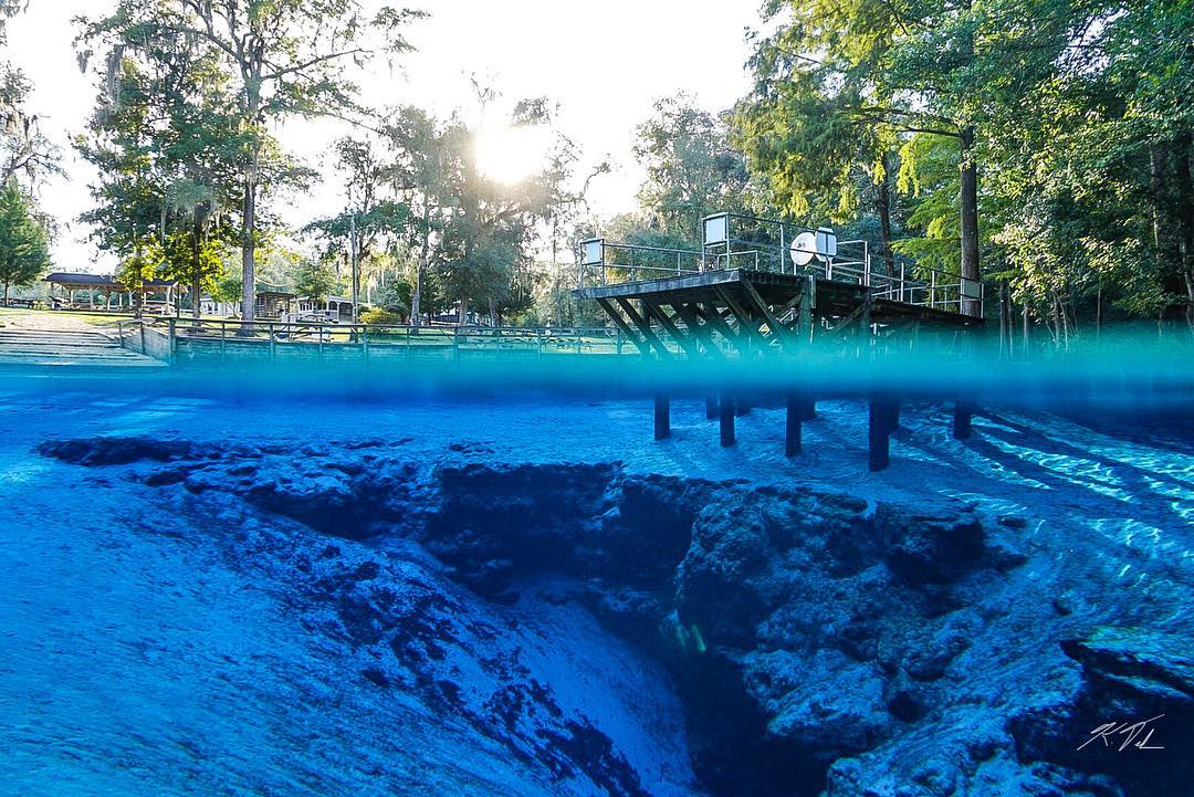 Are Dogs Allowed In Blue Springs Park