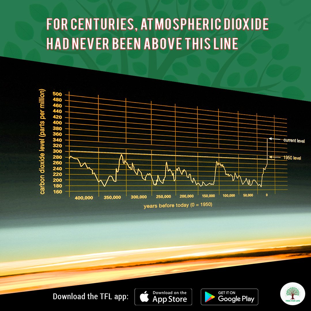 Download TFL App: bit.ly/2OINmrh

#PlantTrees #SaveEarth #Trees #TreeForLife #TFL #TFLApp #Nature #Environment #TreePlantation