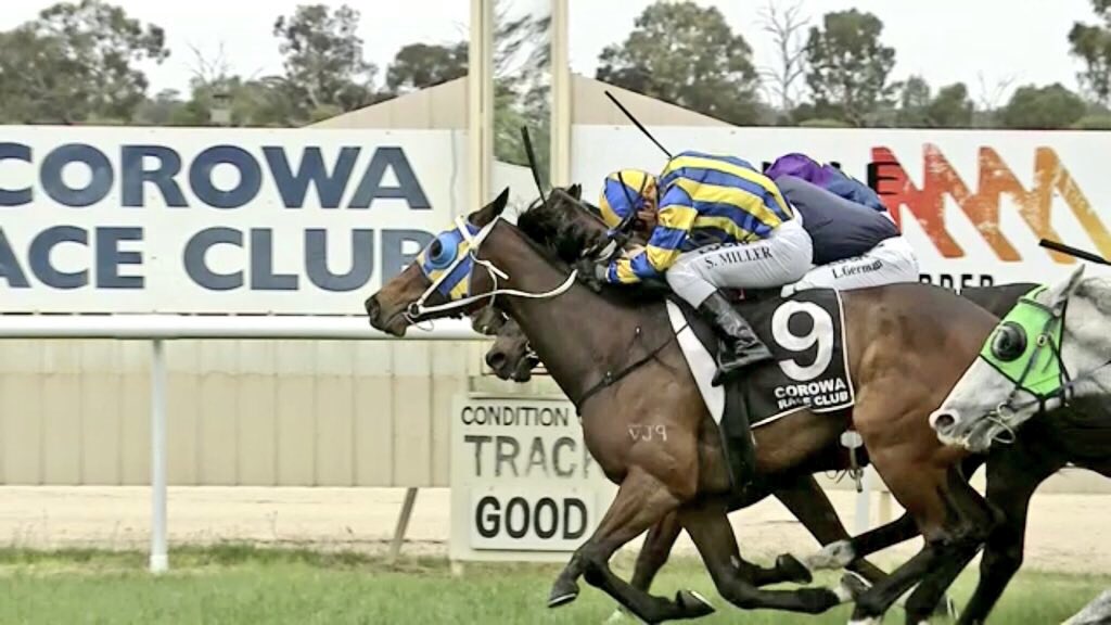 Congrats to followers who jumped into Vivendi a few weeks ago, get their investment back today @ Corowa 
🐎🐎⚡️⚡️
