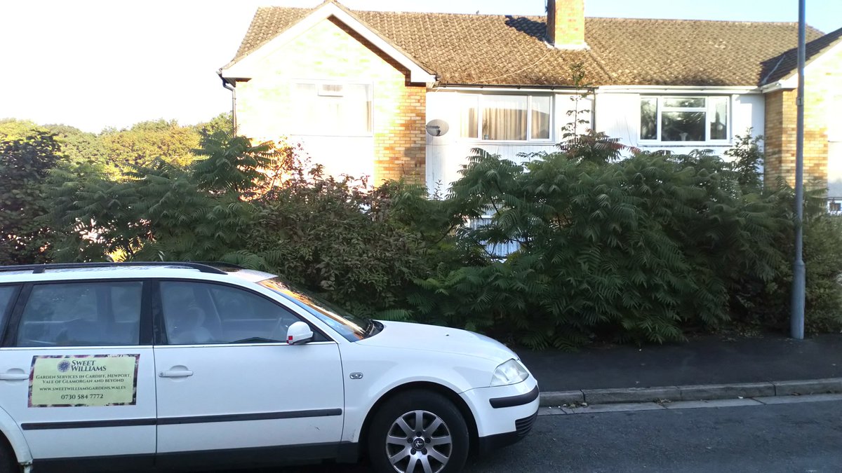 SweetWilliamsEm's tweet image. Had a very satisfying day recently helping @FortisCardiff help one of their tenants. I love a transformation! #gardenmakeover