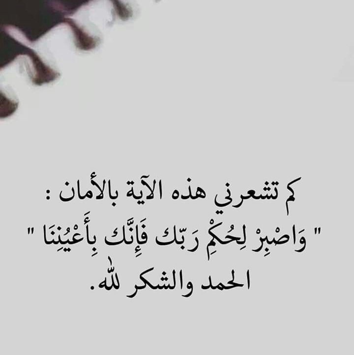 SafaKarray's tweet image. 