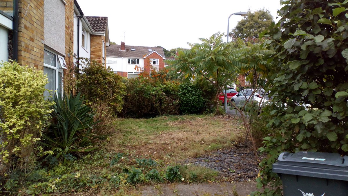 SweetWilliamsEm's tweet image. Had a very satisfying day recently helping @FortisCardiff help one of their tenants. I love a transformation! #gardenmakeover