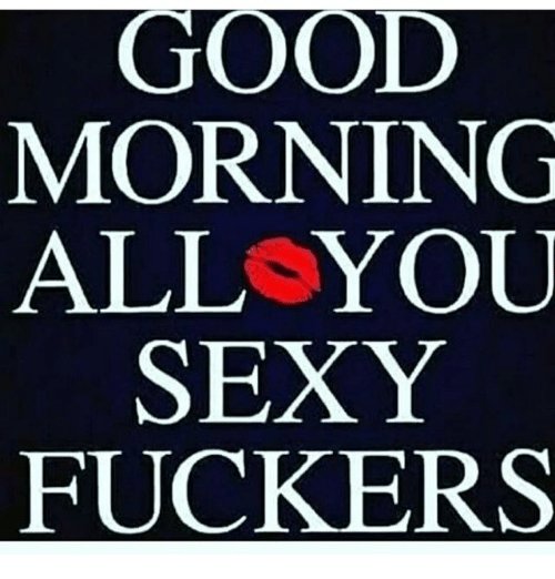 bigsilverback9's tweet image. 