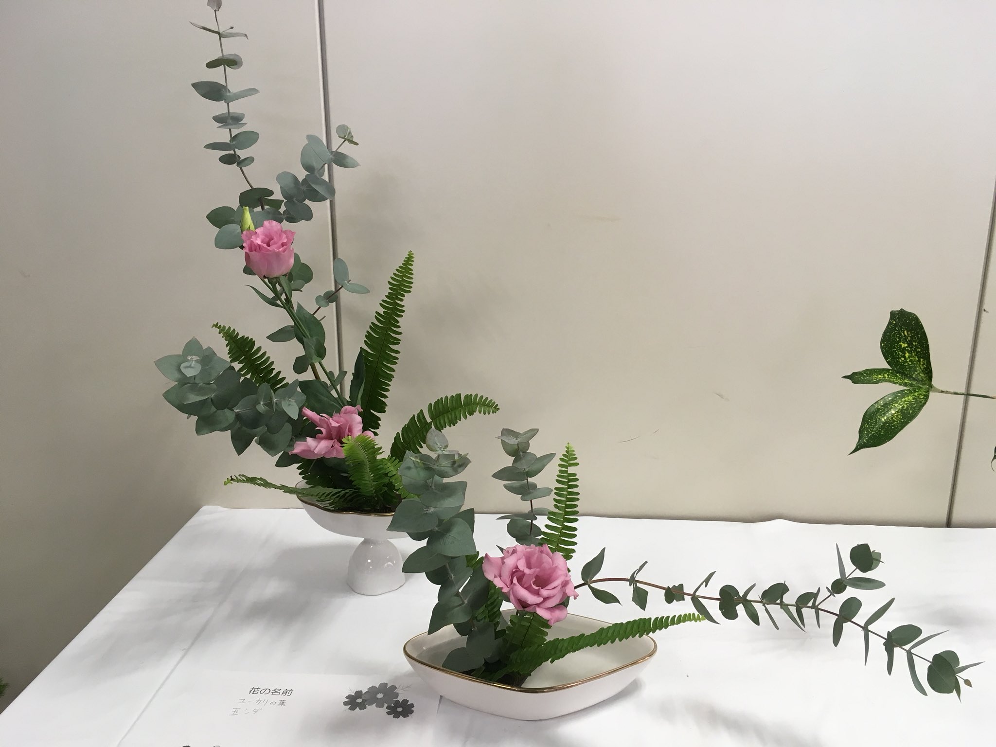 神戸学院大学華道部 Twitterissa 体験会で見本として使用された作品です 今回の展示では来ていただいた方に好きな作品の名前を書いてもらったのですが この作品も多くの方にお褒めいただきました 華道部 神戸学院大学 華道 生け花 135festival 使用したお花