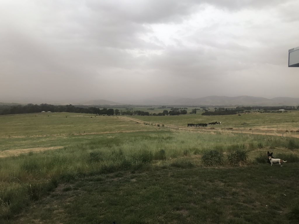 Costellojc's tweet photo. @Warwick_Long Just starting in the upper murray https://t.co/HYcnjZ4VJQ