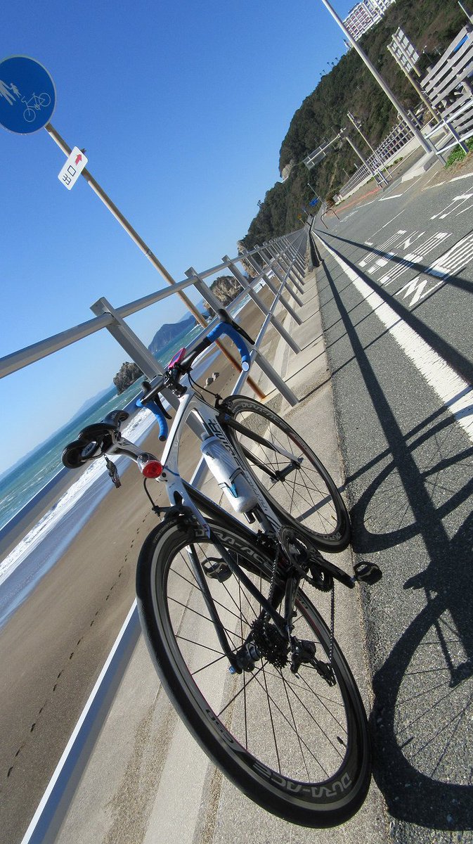 零🐀ラスシュー tweet media