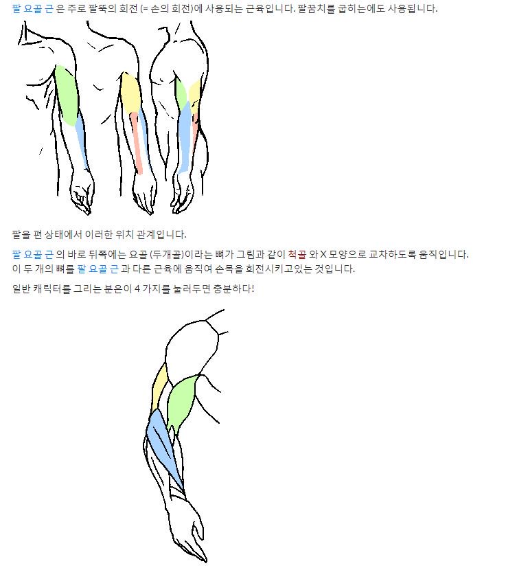 오늘의 사이트 추천 키타지마 해부학 교실 데생 및 해부학을 알려주는 다양한 강좌들이 안내되어 있습니다. 그림을 공부하기에 유용한 사이트로 일본어로 되어있으니 구글 크롬에서 한국어 번역을 하는것을 추천드립니다. 링크는 이쪽입니다>kitasite.net/b/