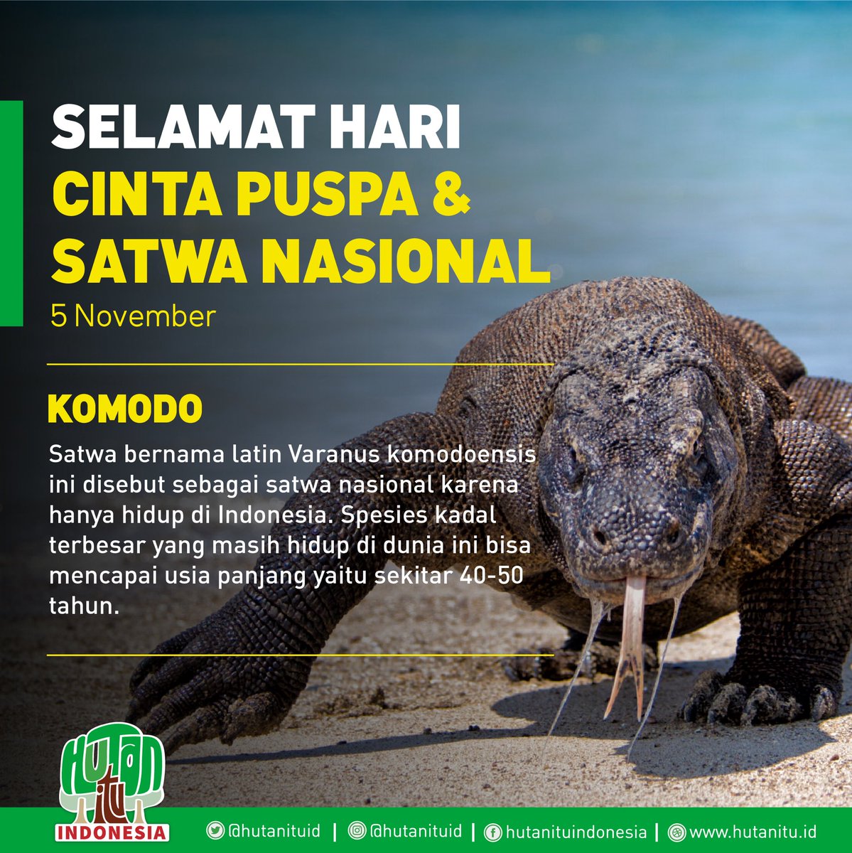 Haricintapuspadansatwanasional Hashtag On Twitter Haricintapuspadansatwanasional Hashtag On Twitter