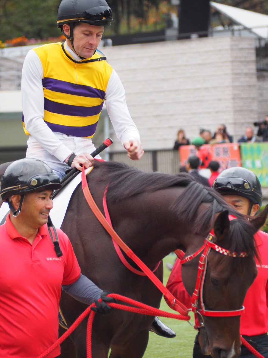 セイウンコービー