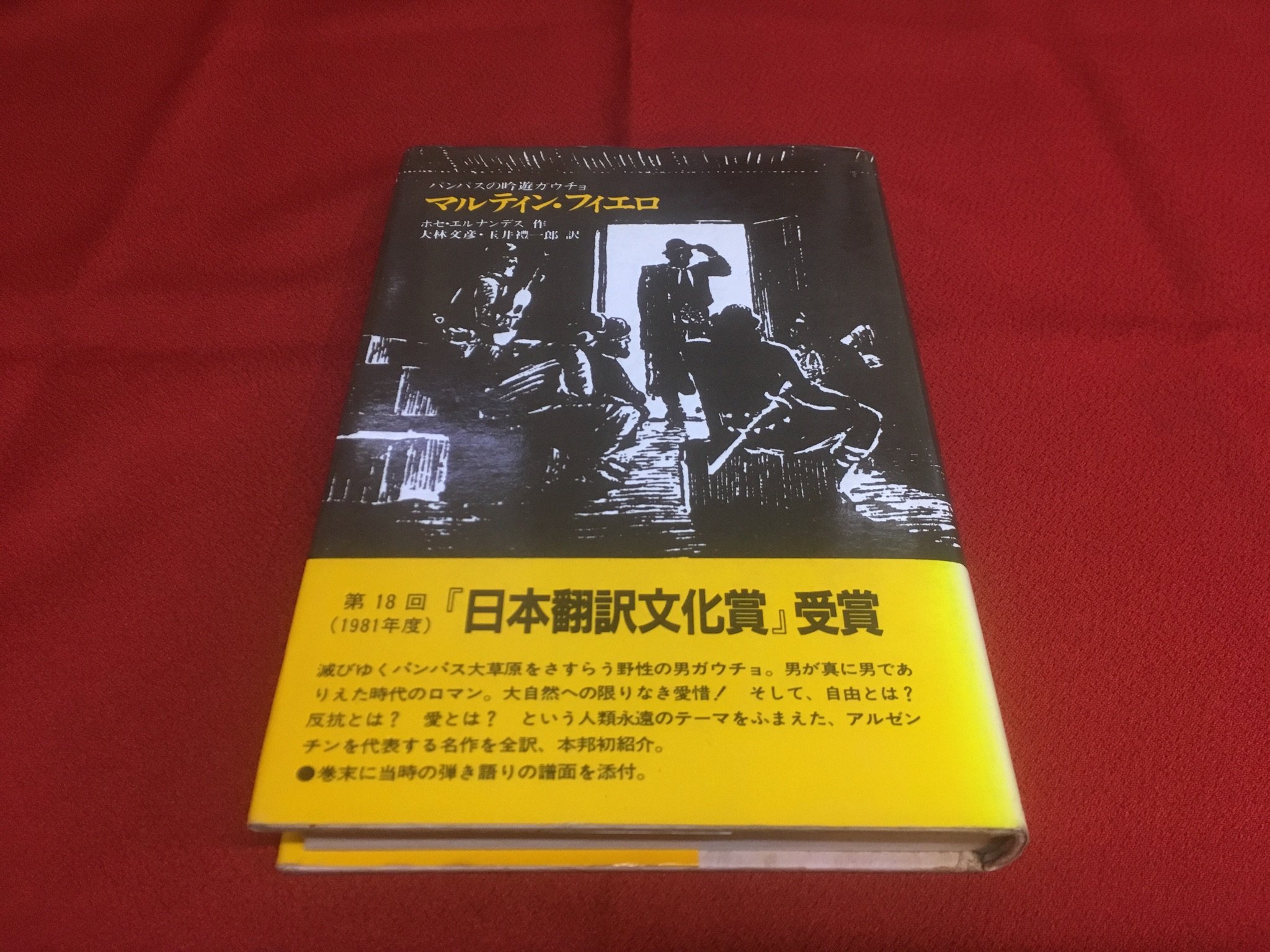 マルティン・フィエロ―パンパスの吟遊ガウチョ (1981年)