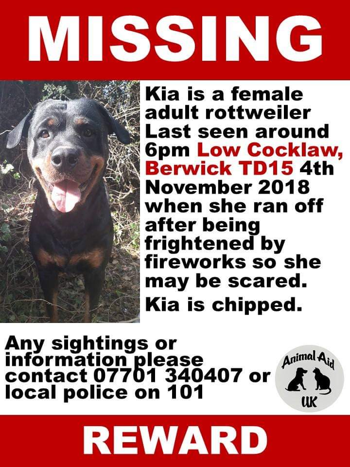 ❗❗❗URGENT HELP FOR ONE OF OUR OWN. ❗❗❗KIA's owner is an admin for @getskyhome and that makes her 💔 FAMILY 💔. Do your thing guys and get her home.