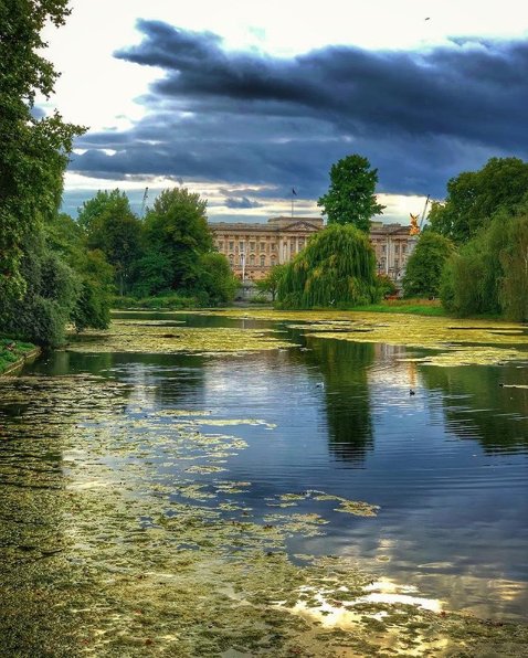 DiscoverUK1's tweet photo. Dramatic Skies Above Buckingham Palace
#london #buckinghampalace #england #GreatBritain#reflection #uk #capital #city #trave #travelblogger #iphonograph #iphone8plus #adventure # Thank you for sharing @gilsan https://t.co/OTK0TdyYyy