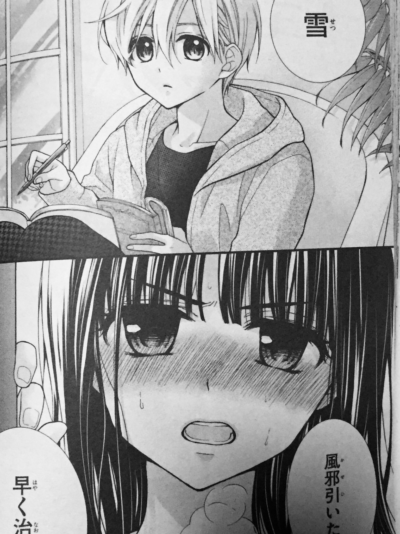 チョコレートヴァンパイア アニメ