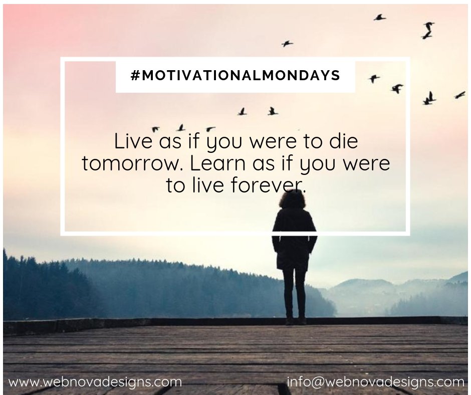WebNovaSA's tweet photo. #MotivationalMondays #MotivationalQuote #Quoteoftheday #Inspirational #Webdesign #Webdesigners #webnovadesigns #Webdesignersnewyork #webdesignnewyork https://t.co/jA0DH8VgjR https://t.co/hdtPvlEwcK
