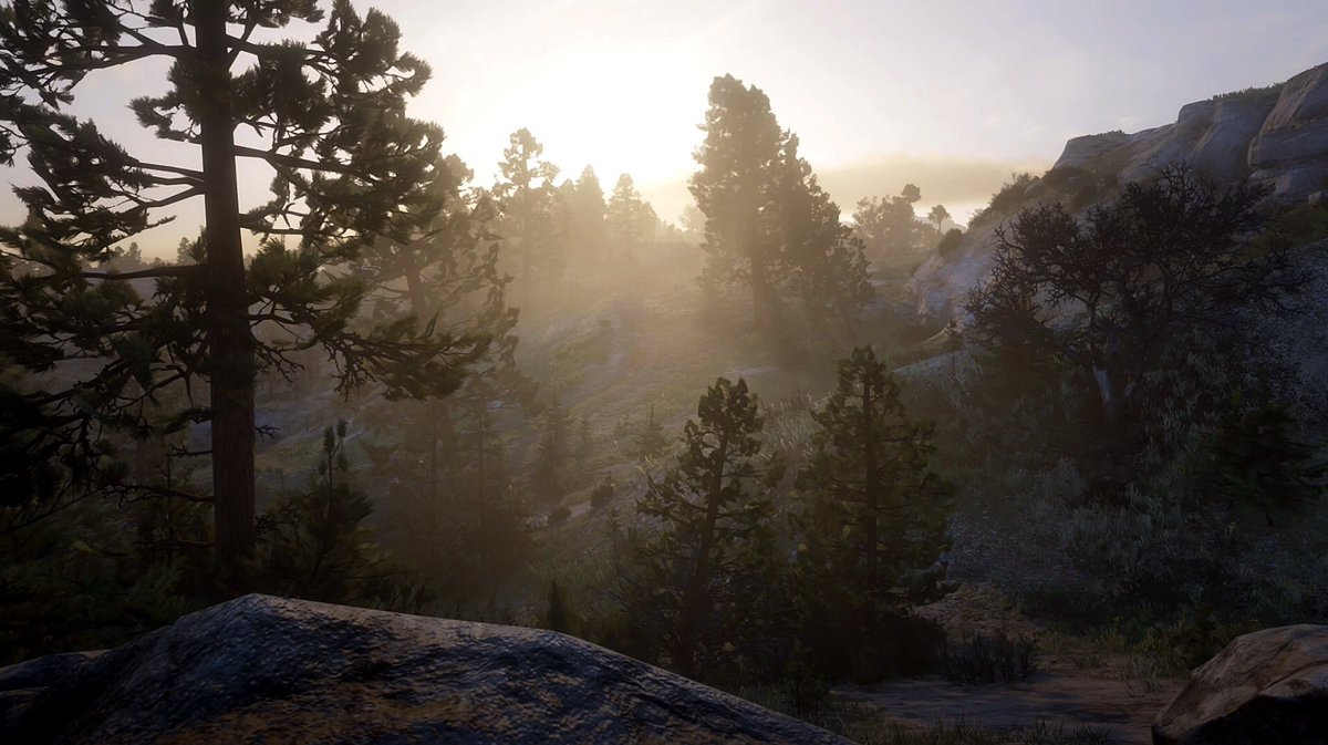 #RDR2 

<a href="/RockstarGames/">Rockstar Games</a>