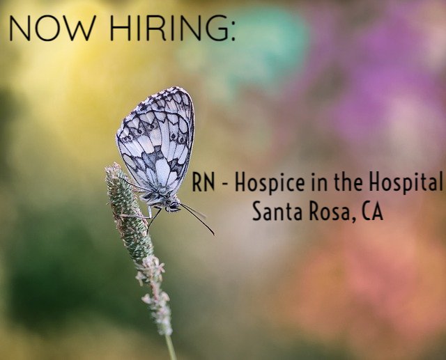 CribbEmmy's tweet photo. Memorial Hospice is seeking an #RN for our Hospice in the Hospital program. This is a rare opening - Apply today! https://t.co/4pcvEFmf83 

#PSJHJobs #Hospice #Nurse #HealthCare #NowHiring https://t.co/ZgHMgXOHhb