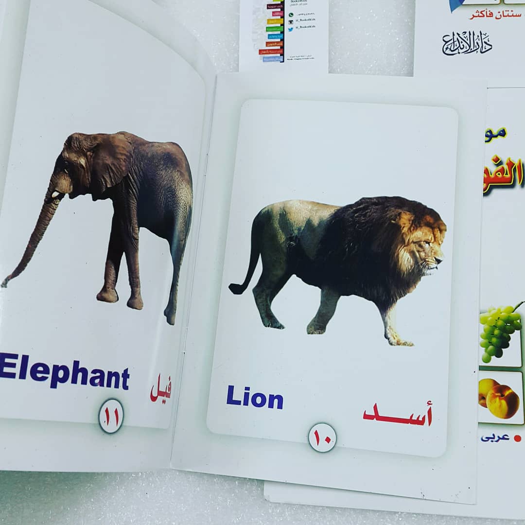 _Books4kids's tweet photo. #موسوعات مصورة للأطفال الصغار
.
- الحيوانات
- الألوان
- المواصلات
- الفواكه والخضروات
- الطيور

مجموعة مميزة من الصور الحقيقية مع كلمات واضحة باللغتين العربية والانجليزية.
.

حجم الكتاب: ١٥×٢١ سم
الورق: مسلفن (لماع)
السعر: ٢٠ ريال للمجموعة (خمسة كتب) وتباع كمجموعة https://t.co/1xXHXxOAgj